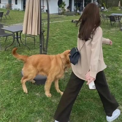 婚礼派对2：终点迪拜